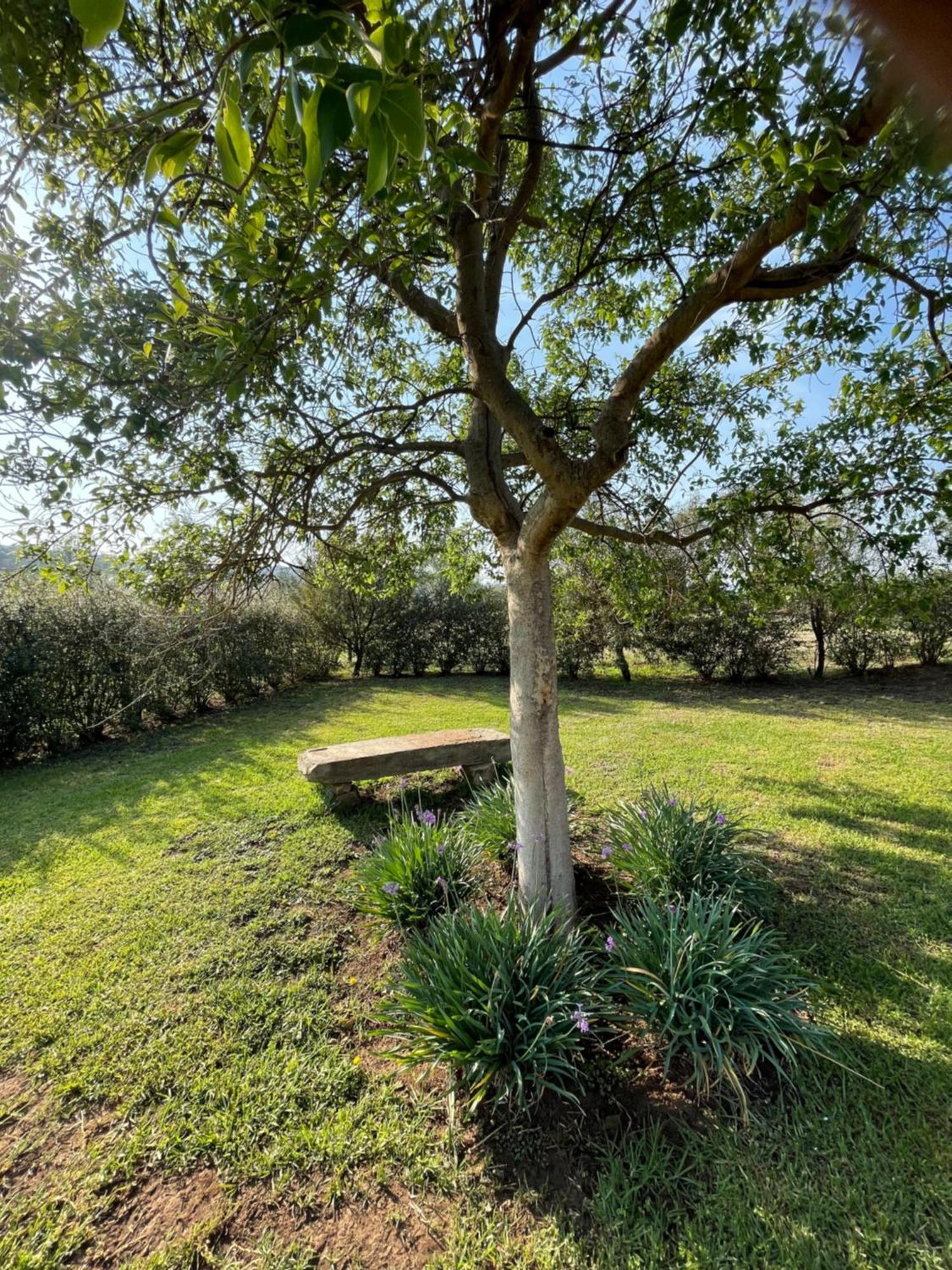 Tugela River Lodge Winterton Exterior foto